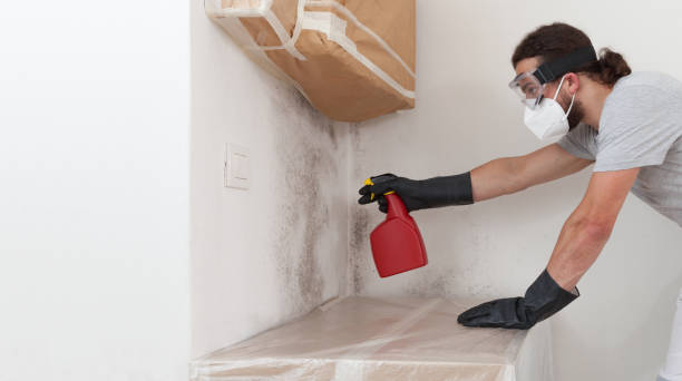 Attic Mold Remediation treatment on roof deck in Canton